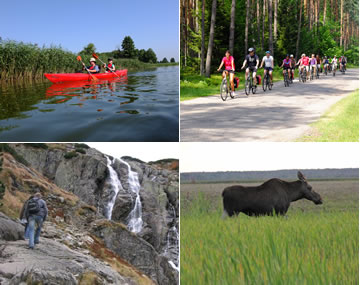 in naTOURa Reisen: Vielfältige Naturerlebnisse und Aktivurlaub in der Lausitz Eine Collage mit vier Bildern, die verschiedene Outdoor-Aktivitäten zeigen: Kanufahren auf einem See, eine Gruppe von Radfahrern auf einer Landstraße durch einen Wald, eine Person, die an einem Wasserfall wandert, und ein Elch auf einer grünen Wiese.